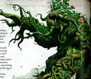 Shambling Mound - green tentacled monster