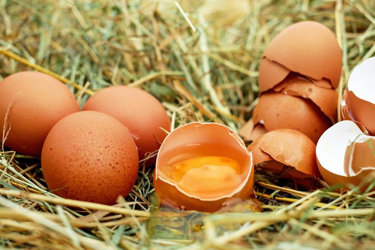 Brown eggs on hay. 