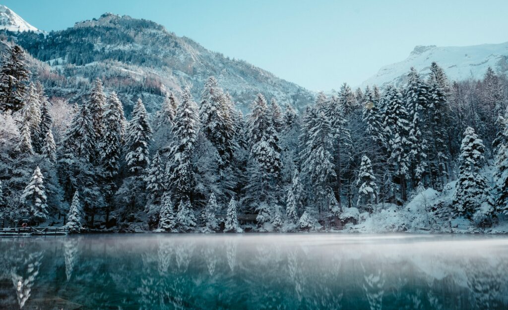 Joel and Jasmin Førestbird -- Magic of Switzerland